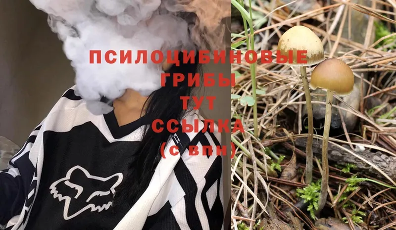 Галлюциногенные грибы Magic Shrooms  магазин продажи наркотиков  shop формула  Анива 